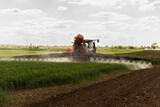 Fototapeta  - Tractor spraying pesticides wheat field.