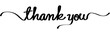 Vector illustration of Hand written Thank you calligraphy on transparent background