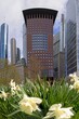 Picture of the Frankfurt skyline with white flowers in the foreground