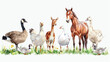 A group of birds and a majestic horse in a beautiful painting. Ideal for nature lovers and animal enthusiasts