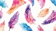 Colorful feathers arranged in a pattern on a white background. Suitable for various design projects