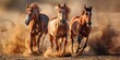 Three majestic horses galloping in dust at sunset.