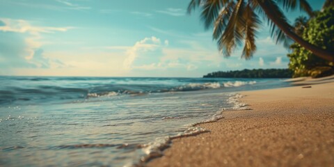 Wall Mural - A serene view of a palm tree on a sandy beach. Perfect for travel and vacation concepts