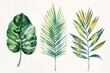 Vibrant painting of three tropical leaves on white background. Ideal for tropical-themed designs