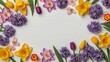 Spring flowers frame made of tulips daffodils crocuses