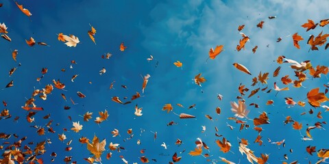 Canvas Print - A bunch of leaves flying in the air, suitable for nature and autumn themes