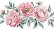 Vibrant pink flowers on a clean white background, perfect for adding a pop of color to any design project
