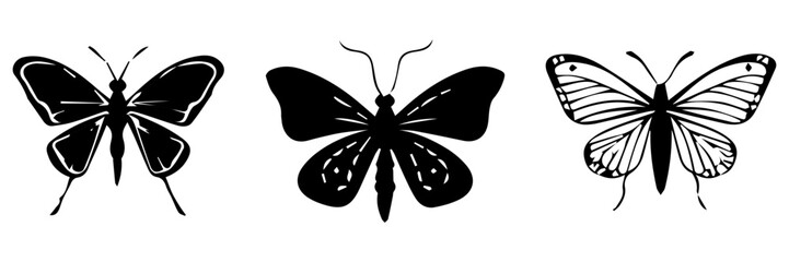 Wall Mural - Hand drawn vector illustration of  butterfly
