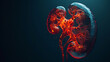 kidneys and disease medical illustration 3d illustration,