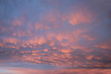 Wall Mural - weather phenomenon with bag-shaped mammatus clouds in pastel colors