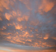 Weather phenomenon with bag-shaped mammatus clouds in special weather conditions, at sunset. square format