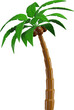 3d palm tree. isolated palm tree vector
