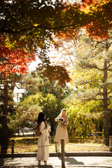 Wall Mural - experience the vibrant colors of autumn in japan: exploring the majestic forests and gardens of kyot