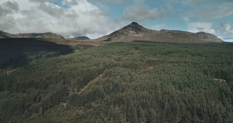 Wall Mural - Scotland ocean landscape shore aerial shot: trees and road with cars near Firth-of-Clyde Gulf. Magnificent coastline of nature with historical heritage: Brodick castle and wide shot