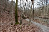 Fototapeta Niebo - The hiking trail in the winter woods.