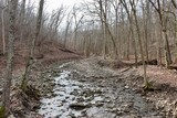 Fototapeta Niebo - The creek in the winter woods.