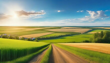 Beautiful Summer Rural Natural Landscape With Fields Young Wheat, Blue Sky With Clouds. Warm Fresh Morning And Road Stretching Into Distance. Panorama Of Spacious Hilly Area