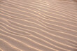 sand dunes. sand texture.