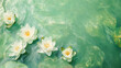 white lily buds on the water surface and waves on a light green background