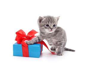 Sticker - Kitten and gift.