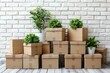 Several cardboard boxes stacked in a disarray manner with green potted plants arranged on top and around them
