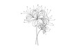 Minimal botanical spider lily art. Hand drawn monochrome floral elements for wedding invitation greeting card design, tattoo sketch. Vector illustration