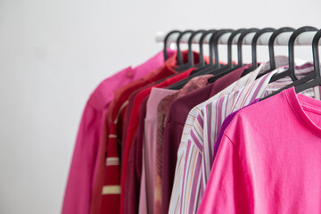 Poster - women's clothing in pink and burgundy trendy colors on a hanger