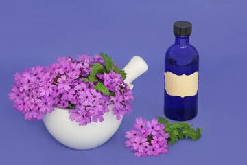 Wall Mural - Verbena herb flowers in a mortar with essential oil bottle. Herbal medicine sedative, treats insomnia, depression, arthritis, female problems, heart conditions. On purple. Verbena bonariensis.