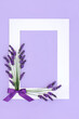 Lavender flower herb abstract floral background border. Used in natural alternative herbal medicine and aromatherapy. Healthy adaptogen food  decoration nature design on lilac.