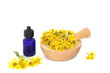 Ragwort flowers in a mortar on white with essential oil bottle. Used in natural herbal medicine to treat colic, rheumatism, painful periods, menopause symptoms, poisonous to livestock.
