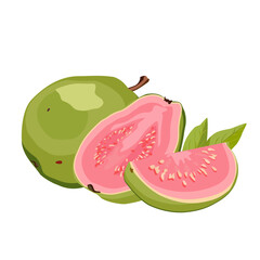 juicy green pink cut guava with leaves. Isolated vector summer fruit on white background for design