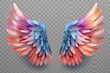 Color Wing Transparent Set. Pair of colorful bird wings set isolated on transparent background with shadow flat vector illustration .