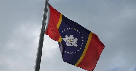Canvas Print - Mississippi flag waving