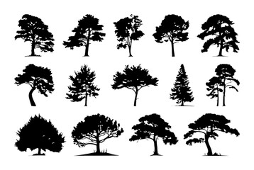 Wall Mural - Sketch Trees Forest and deciduous trees. Vector isolated green nature set against transparent background. Architecture and Landscape Design, Vector Illustration of Green Tree. Black simple silhouettes