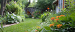 Lush butterfly garden filled with milkweed plants and other host plant species, vibrant and colorful.