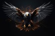 An eagle flies with outstretched wings in the dark. Eagle on a black isolated background, showing the beauty of nature and the predatory nature of the bird.
