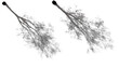 Realistic aesthetic shadow from big tree isolated png on a transparent background perfectly cutout (platanus, ash, alnus, morus, fraxinus, fagus, acer)
