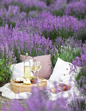 Fototapeta Panele - Glass of white wine in a lavender field. Violet flowers on the background.