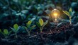 User
You
plants growing out of the ground and an illuminated light bulb，fusing Business Technology and Green Energy Innovation