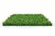 realistic grass field 3d render green turf isolated on white digital illustration