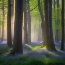 A Serene Forest With A Carpet Of Bluebells In Bloom1