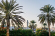 © Daniel Gonzalez/Stocksy - A mosque with palm trees around it in Oman