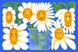 © Ivan Haidutski/Stocksy - Daisy Flowers in Vase on colorful background. Natural Floral backdrop