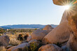 © Christine La/Stocksy - Sun flare in Joshua Tree National Park
