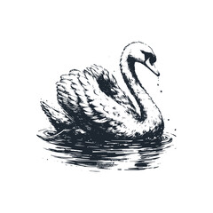 Poster - The white swan. Black White vector Illustration.	