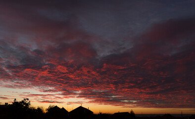 Wall Mural - Landscape at sunset. Tragic gloomy sky. Panorama. Crimson twilight.