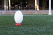 A rugby ball standing on red tee on green grass on field outdoors, copy space