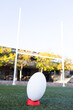 Rugby ball standing on red kicking tee on field outdoors, field goal posts in background, copy space