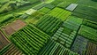 An aerial view of a vast farm filled with different types of plants. The fields are organized in a carefully planned grid allowing for efficient harvesting and processing of the plants. .