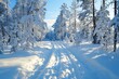 Winter landscape with fair trees under the snow. Scenery for the tourists. Christmas holidays. Trampled path in the snowdrifts. .